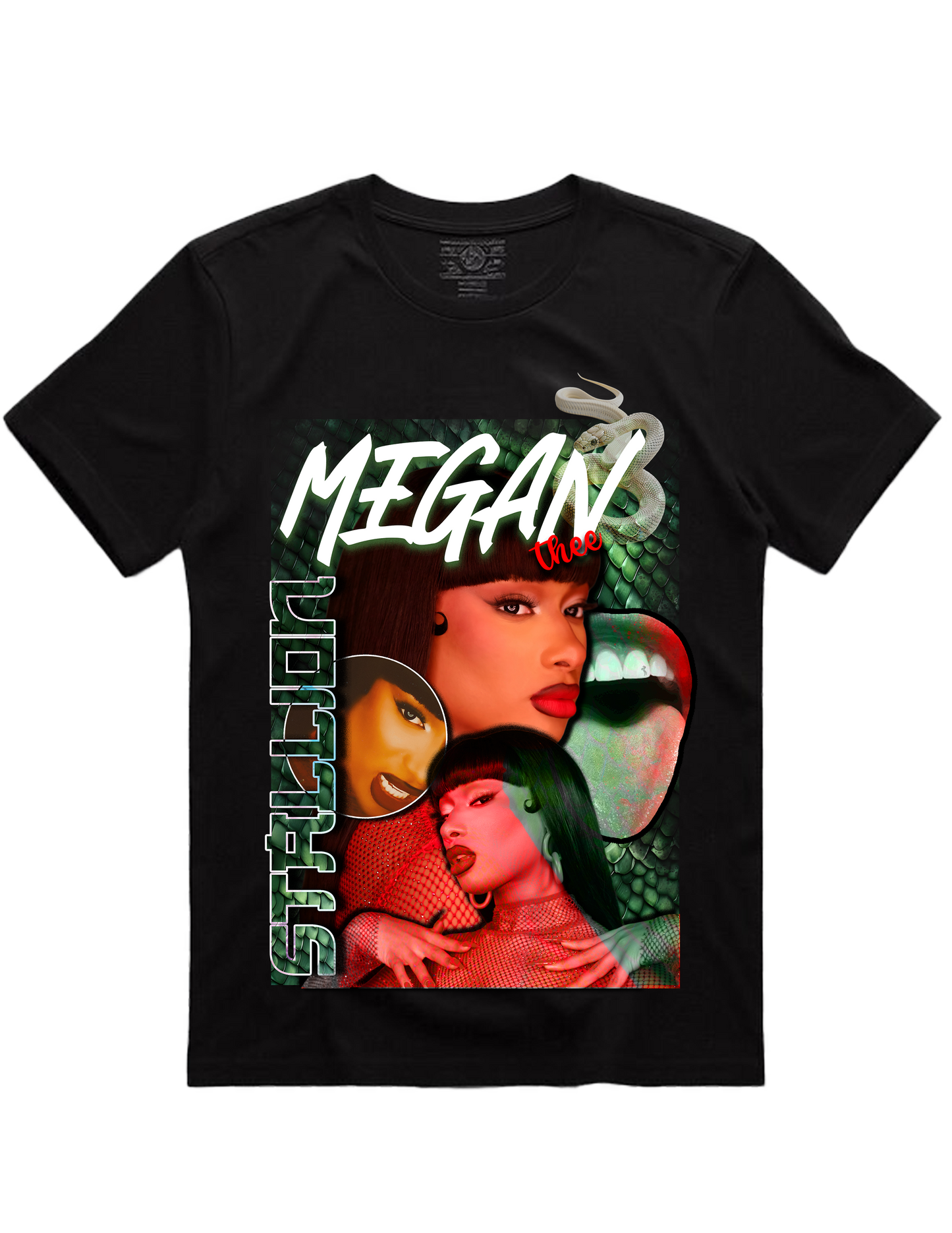 Megan Thee Stallion Hiss