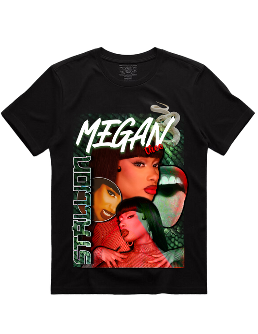 Megan Thee Stallion Hiss